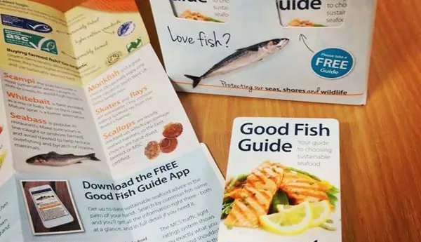 Sustainable Seafood | SEA LIFE Arizona Aquarium